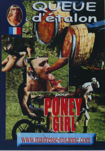 Roxanne - Queue D'etalon pour poney girl